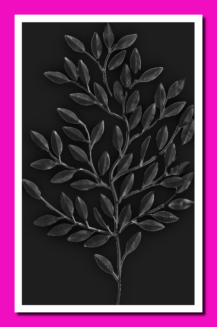 Embossed Tree GC.jpg