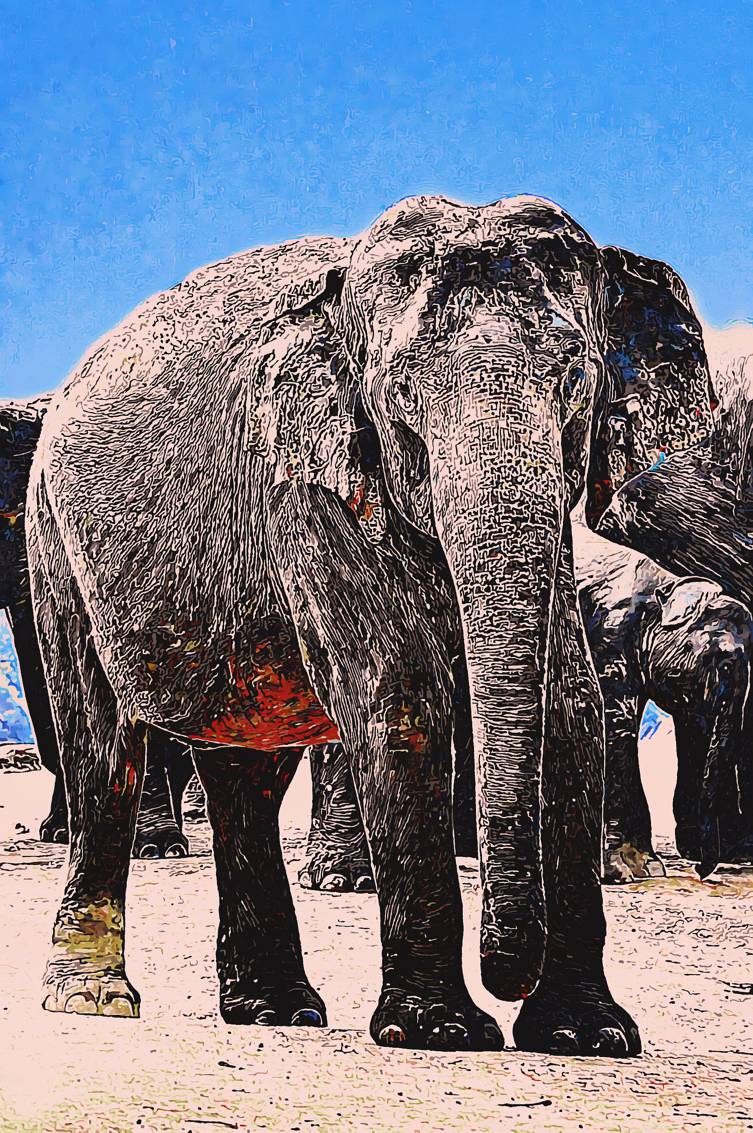 indian-elephant.jpg