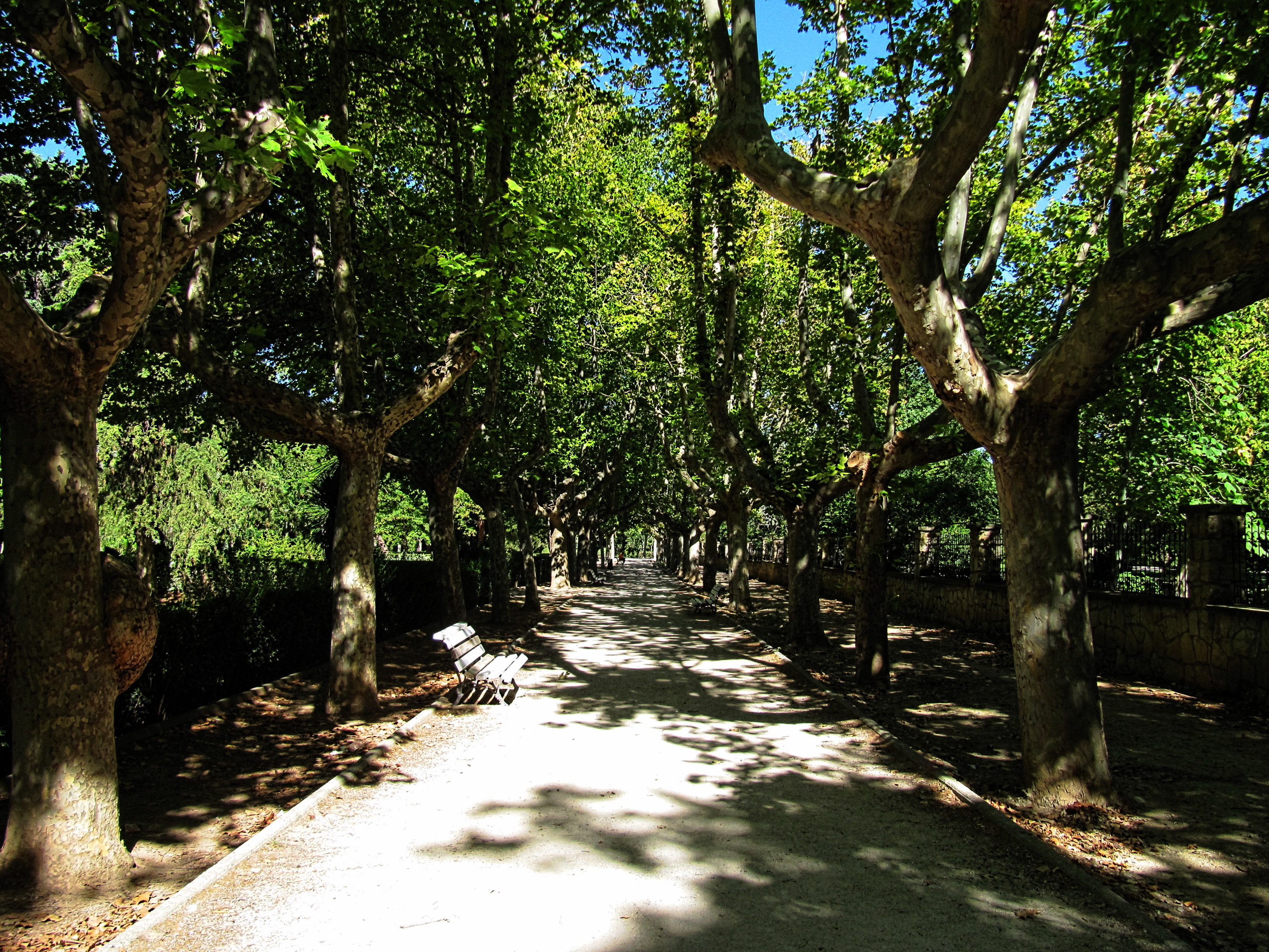 IMG_4524-dn1.JPG