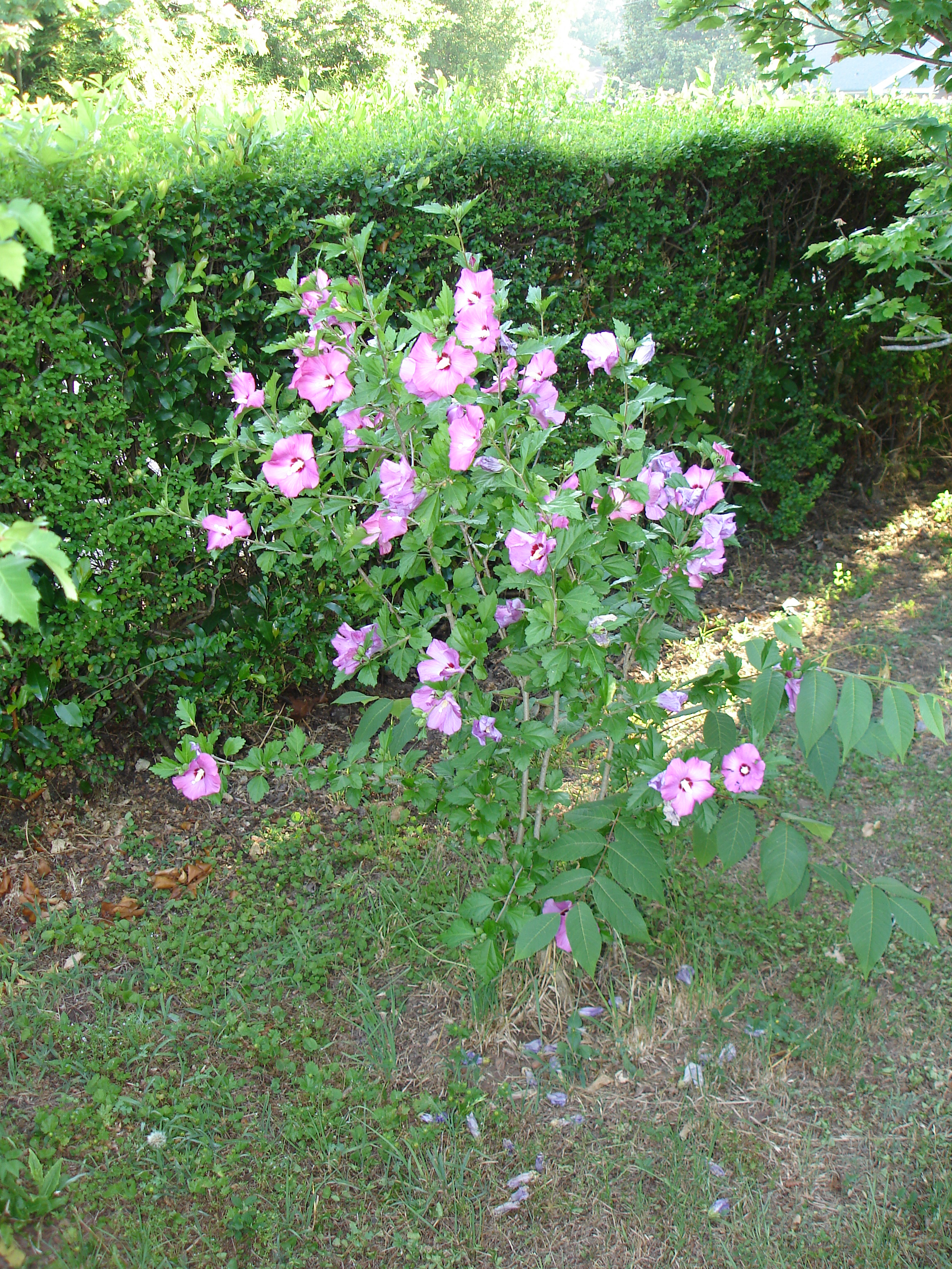 DSC00812.JPG