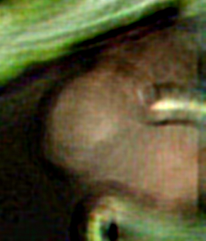 bottom right corner.jpg