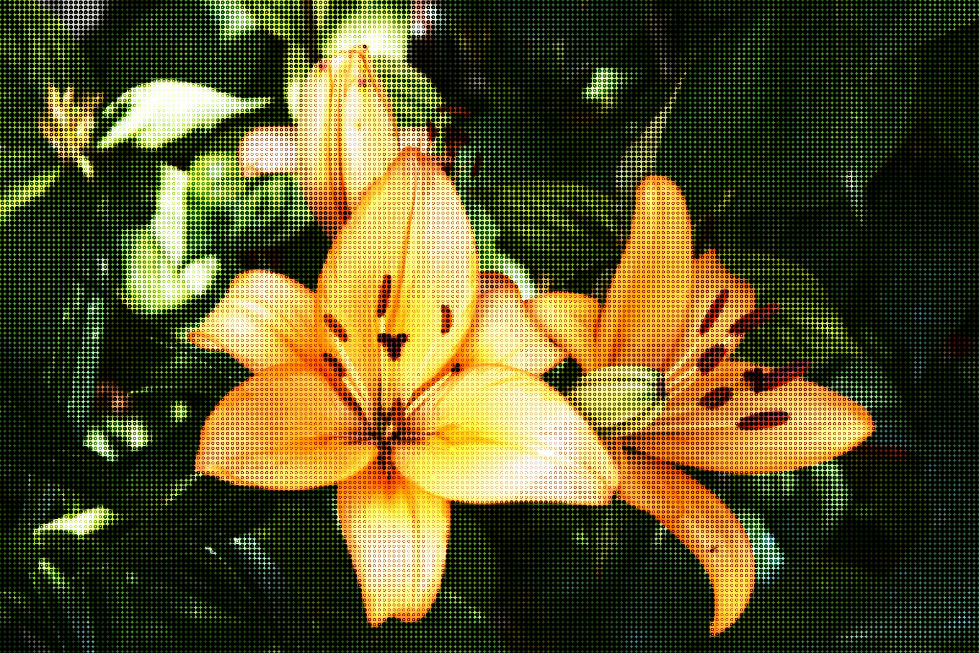 FlowerCircles.jpg