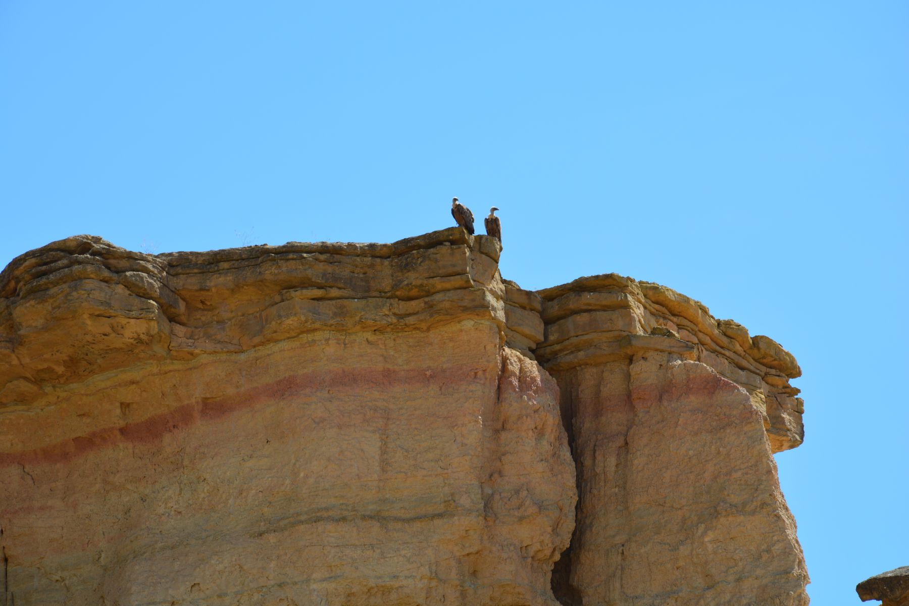 DSC_0086.JPG