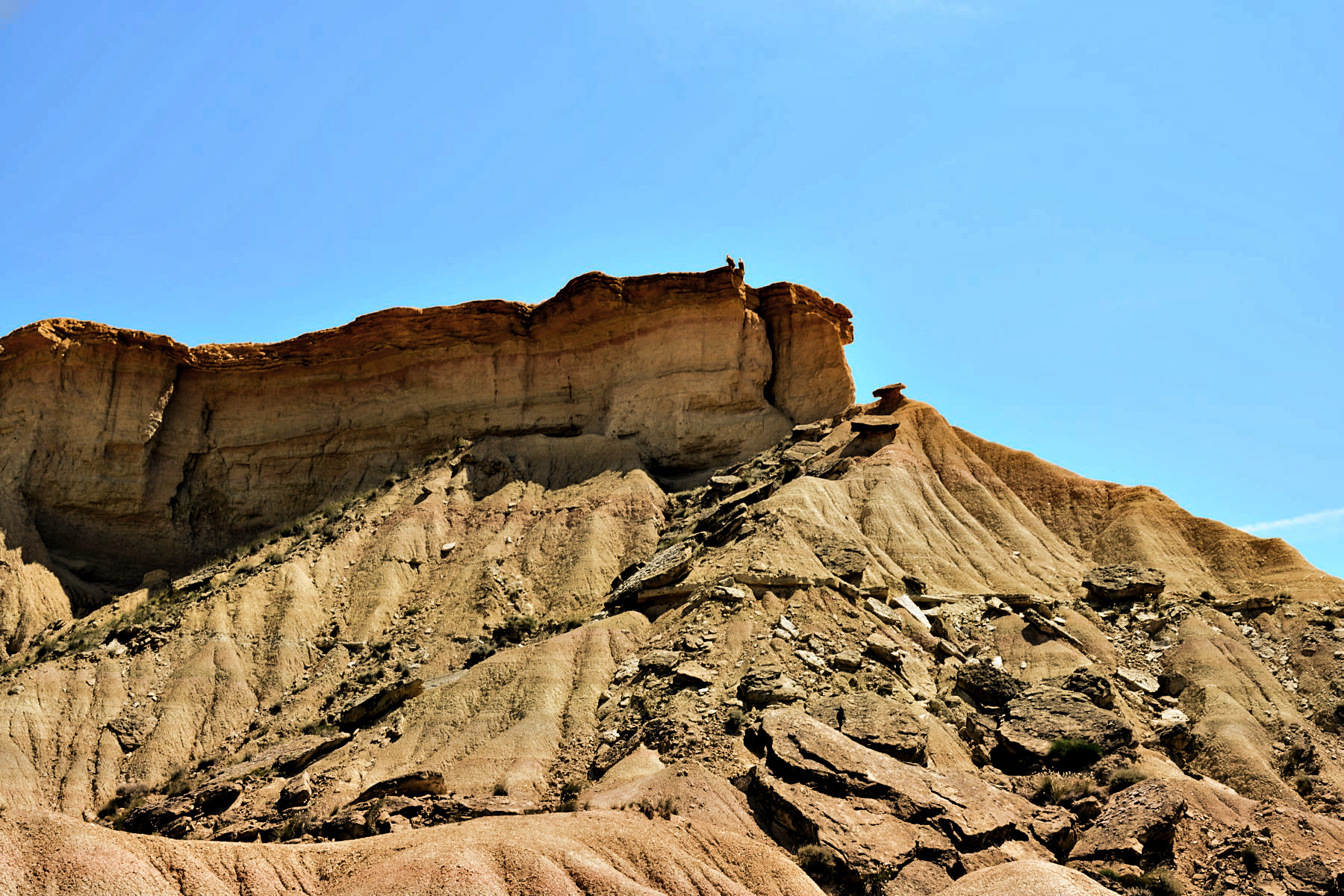 DSC_0087-masks+gradient+contrast.JPG