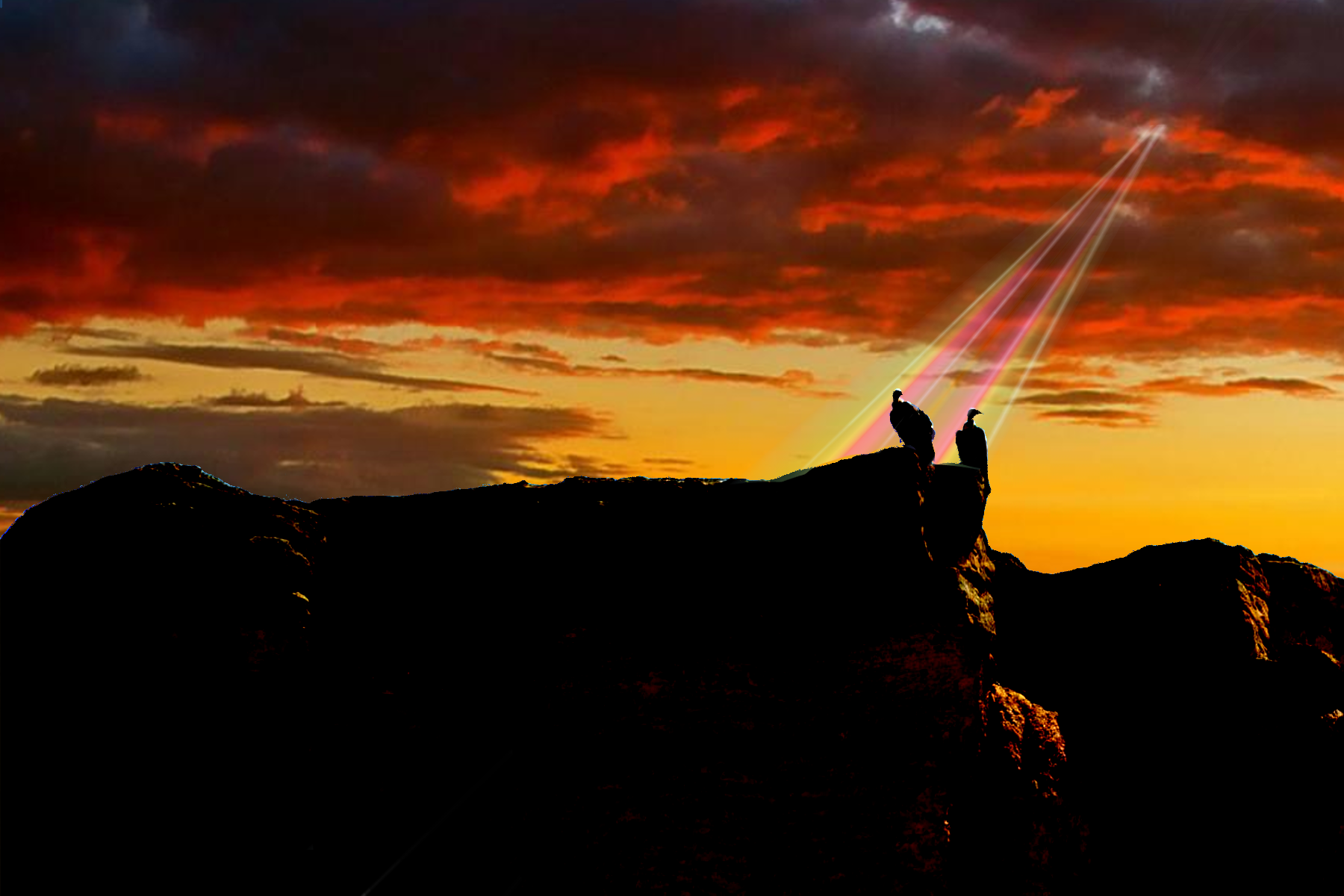 DSC_0086_A.png
