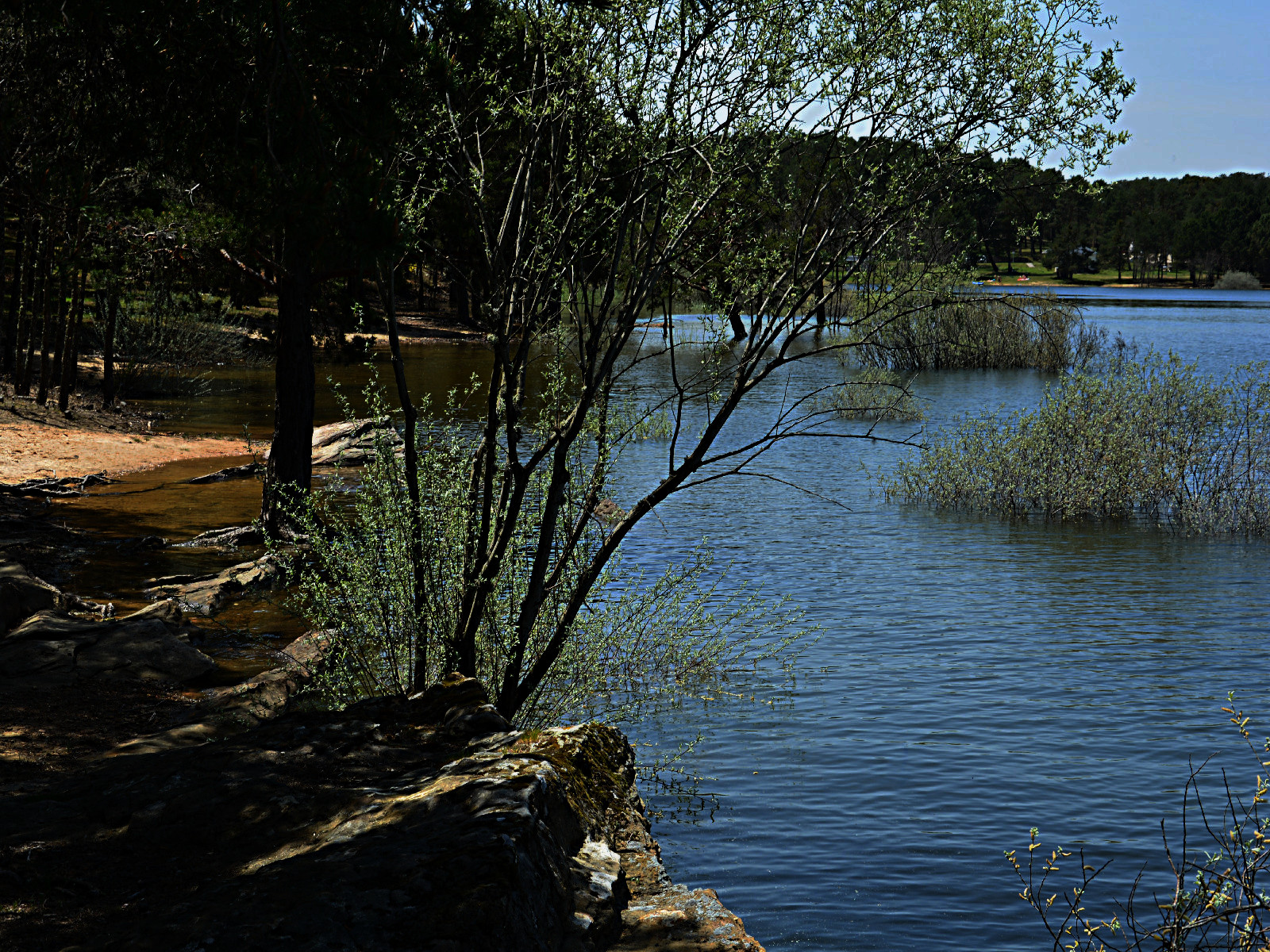 DSC_0404-dn1.JPG
