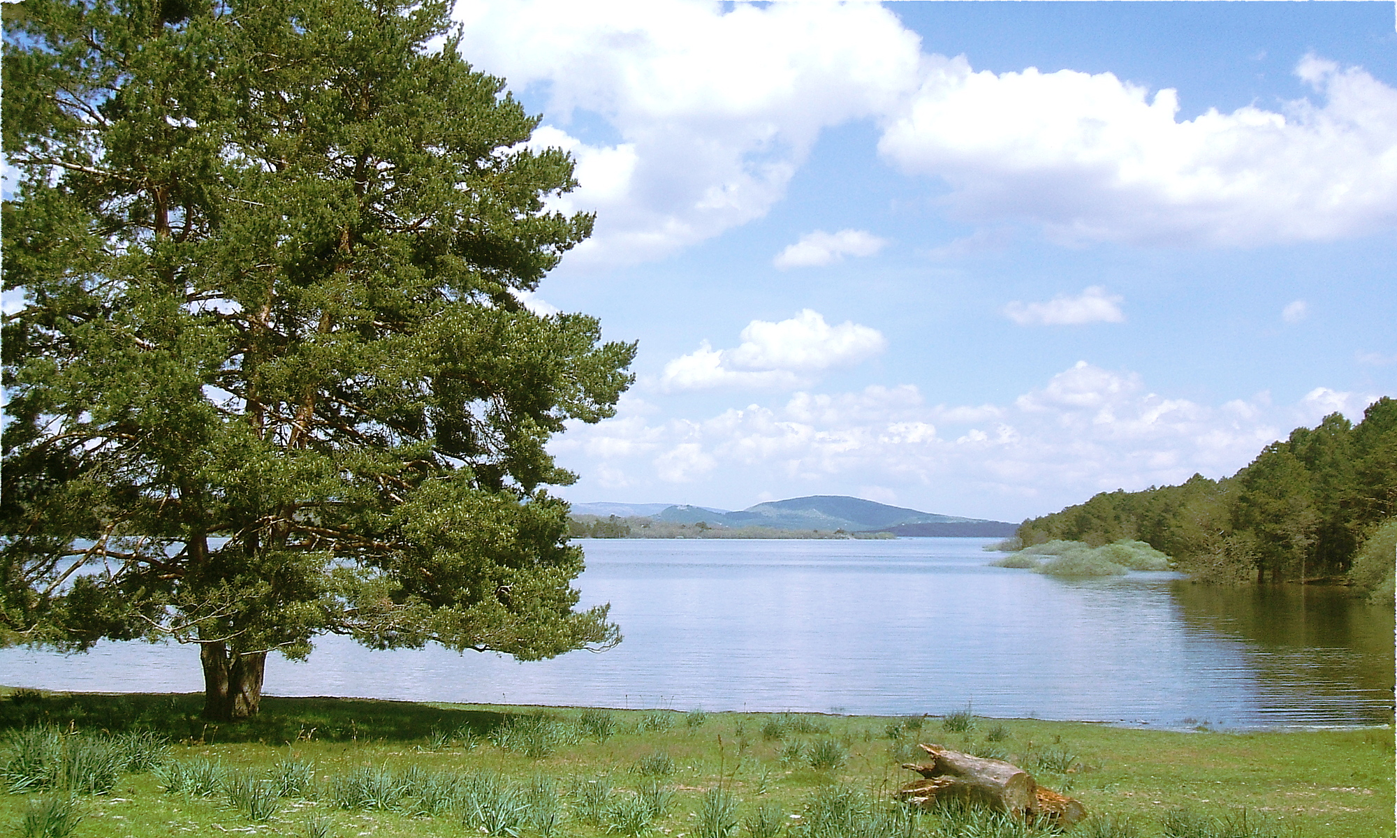 Vinuesa, Embalse Cuerda del Pozo, 011.JPG