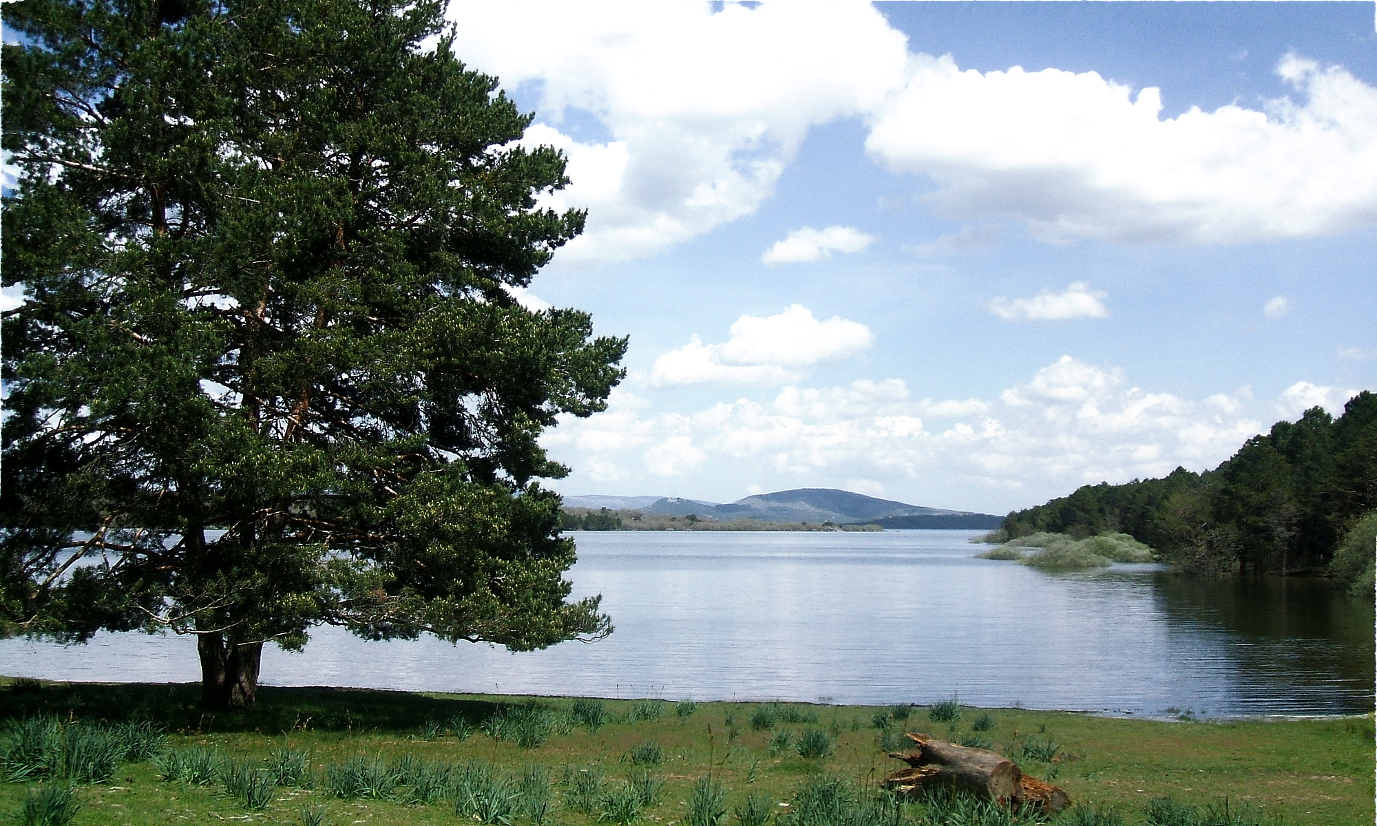 Vinuesa, Embalse Cuerda del Pozo, 011a.JPG