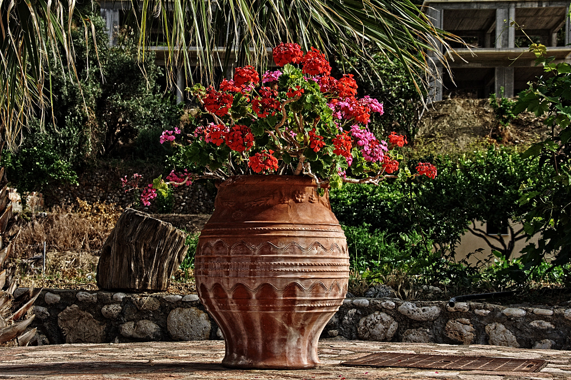 flower_pot-tone mapping-freaky details-wavelet sharpening-Issa.jpg