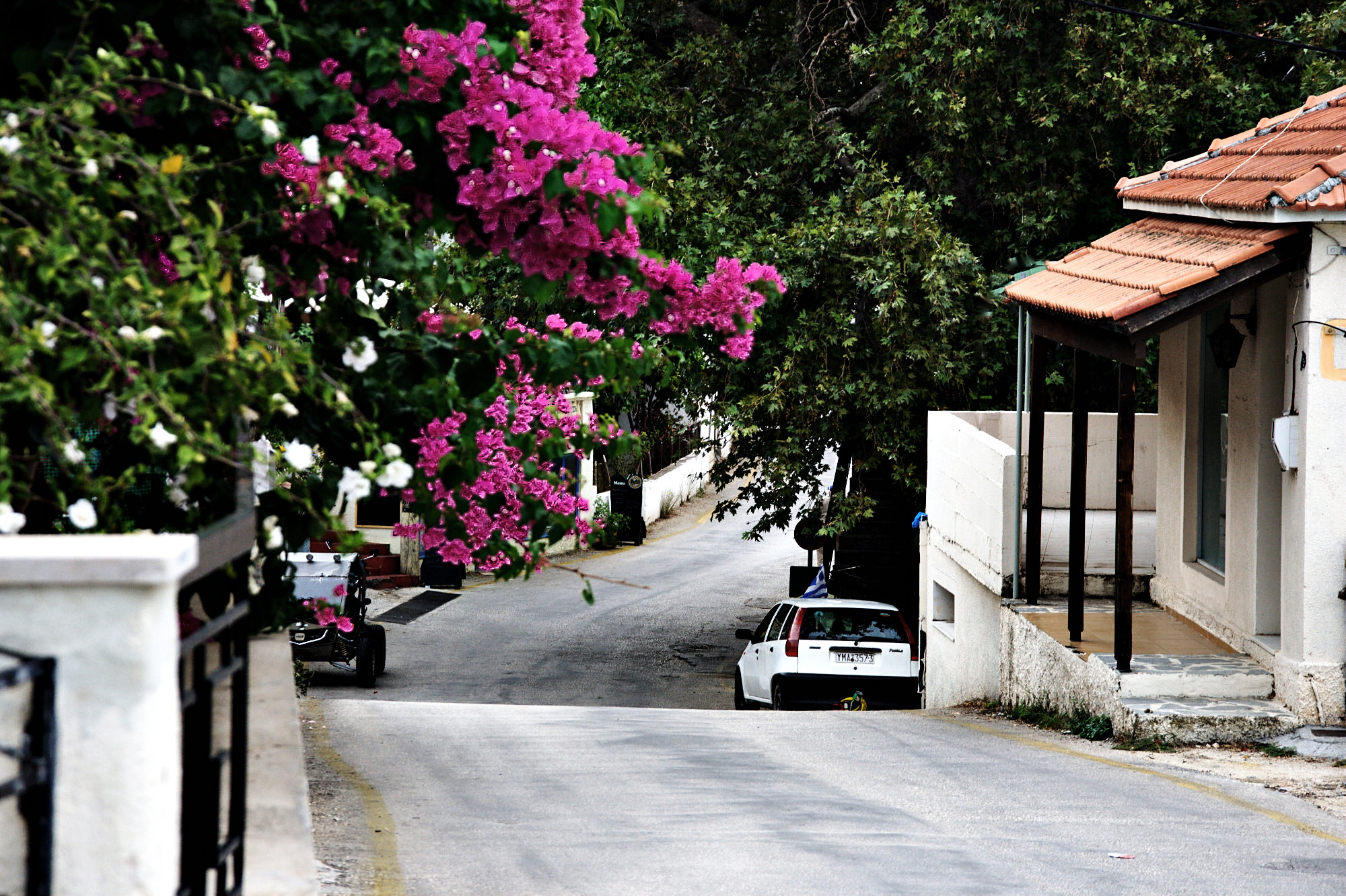 village_street.jpg