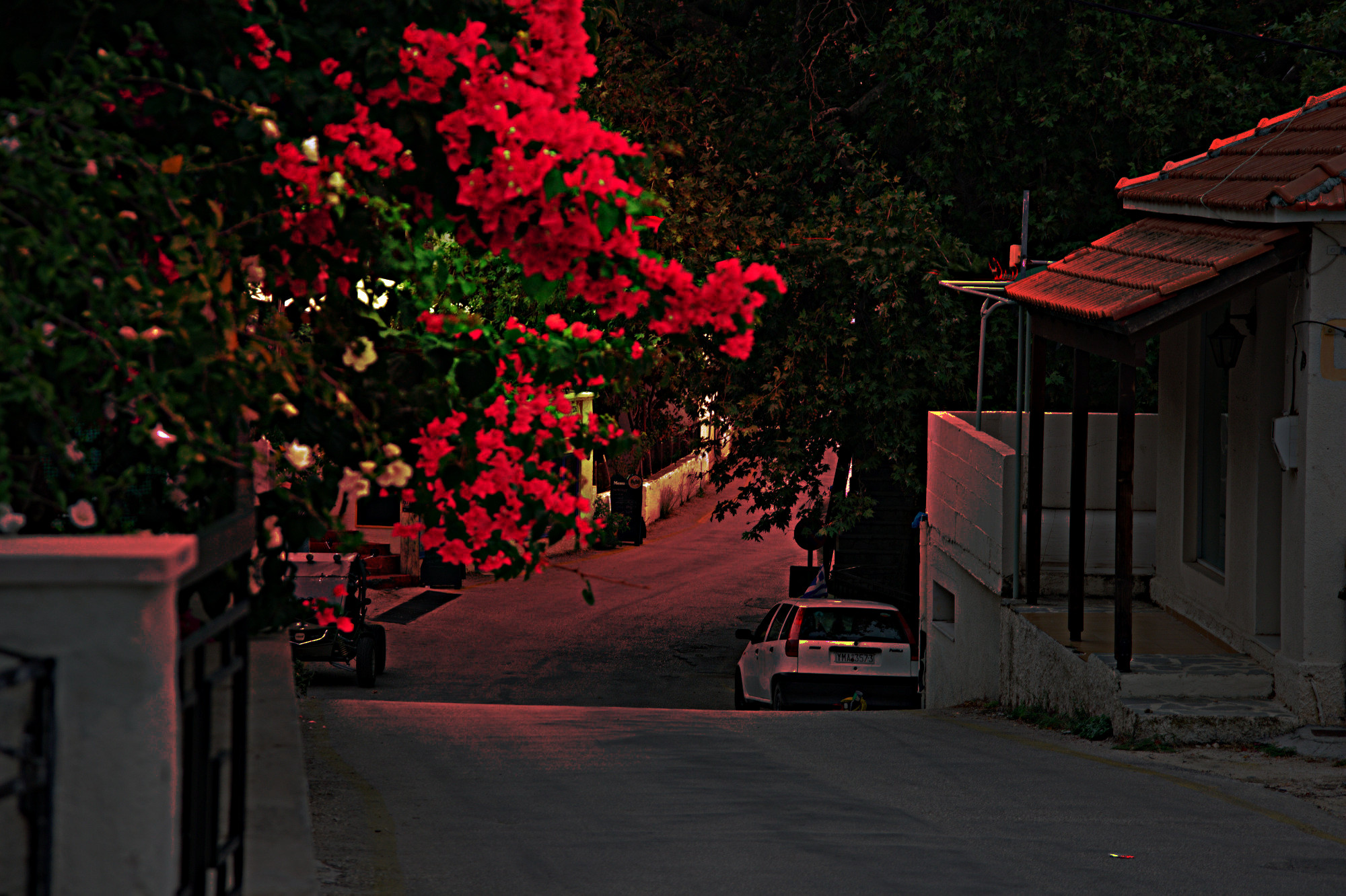 village_street-dn1.jpg