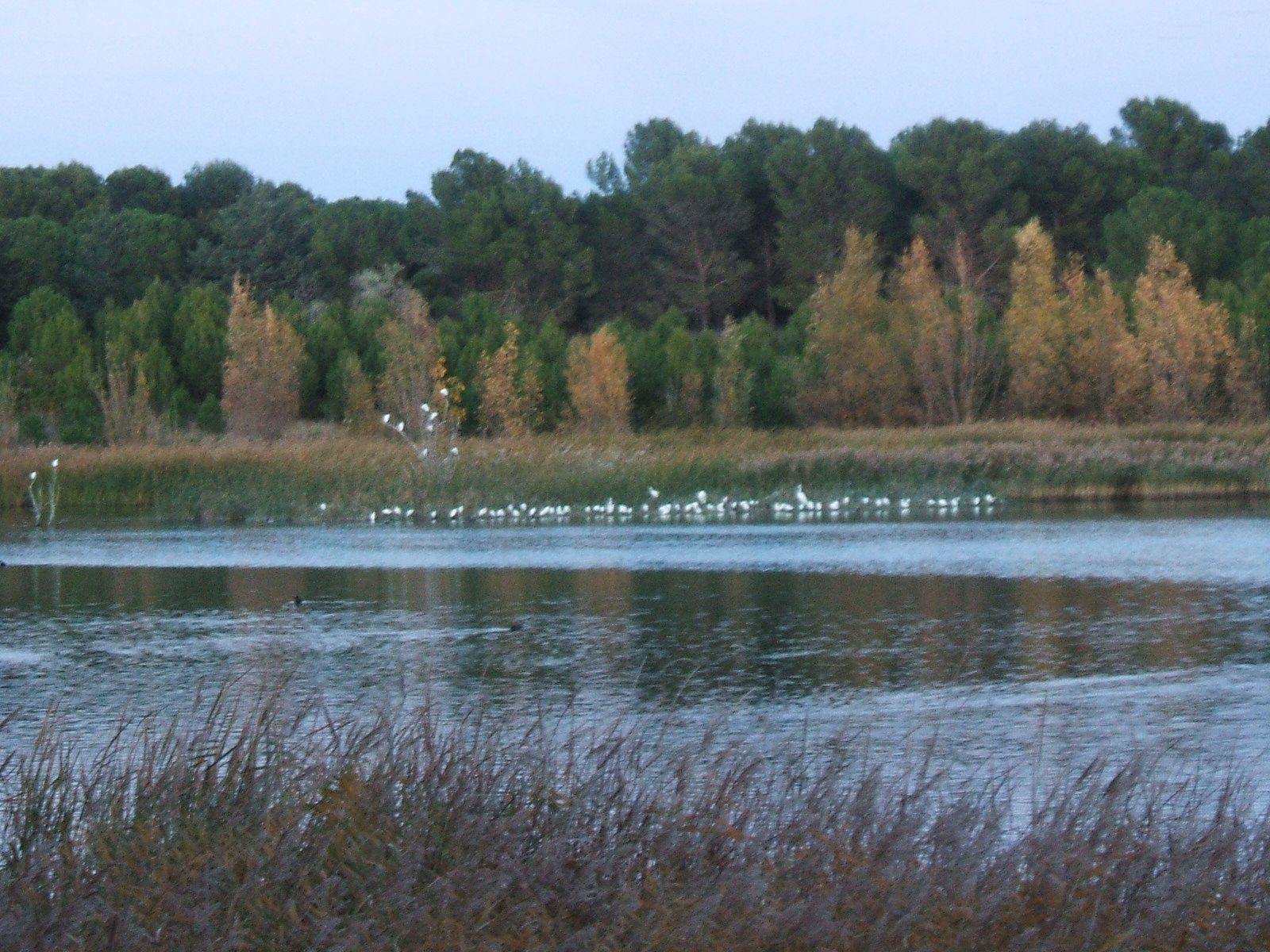 Laguna  Moncayo - atardecer.jpg