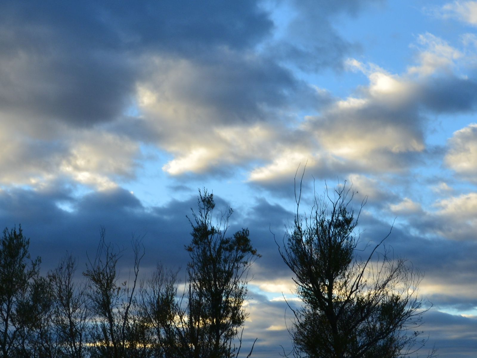 DSC_0251.JPG