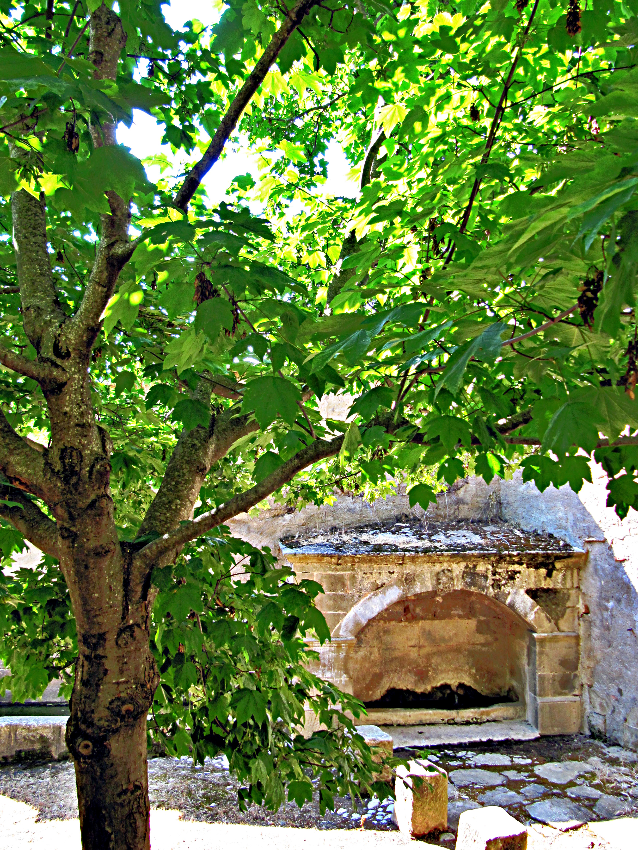 IMG_2968_1.JPG
