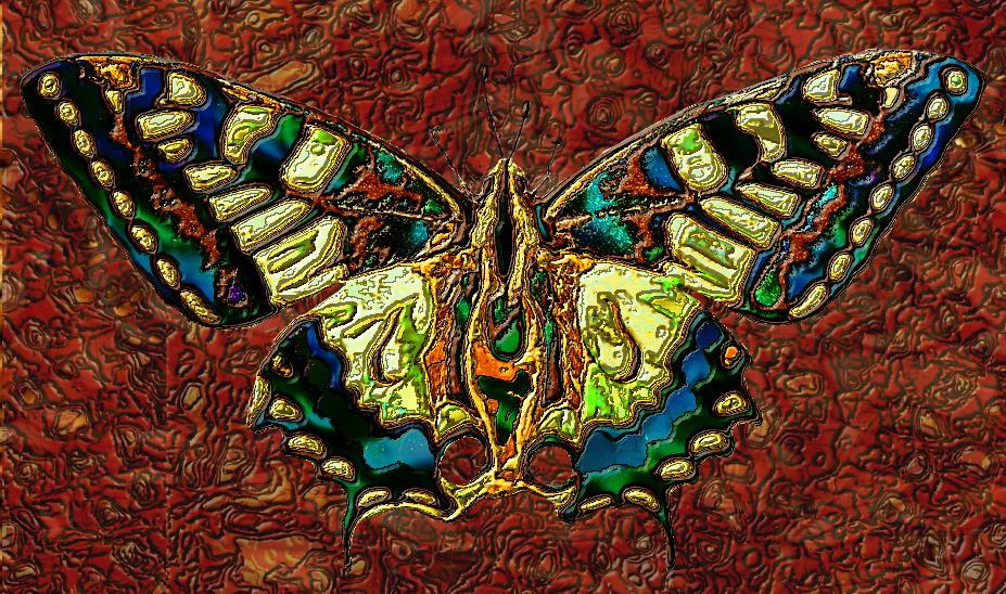 's Butterfly2.png