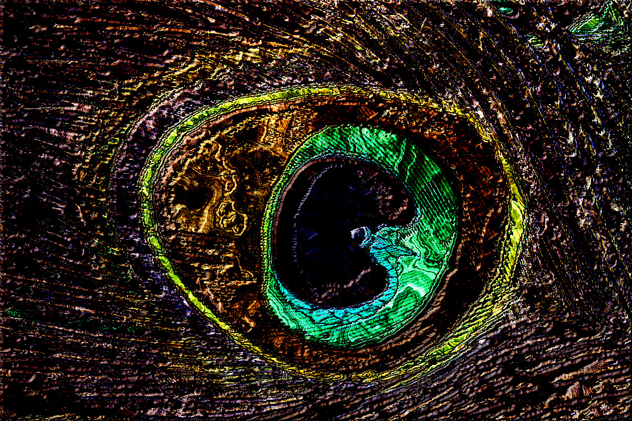 peacock-feather-Texturized.jpg