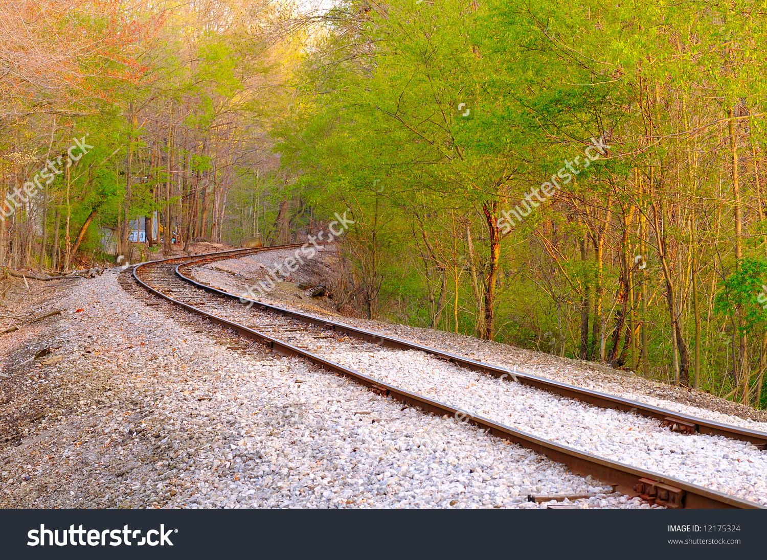 stock-photo-old-railroad-track-curving-through-woods-just-greening-up-in-spring-12175324.jpg