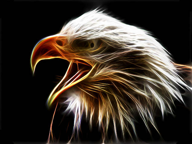 Eagle 1.jpg