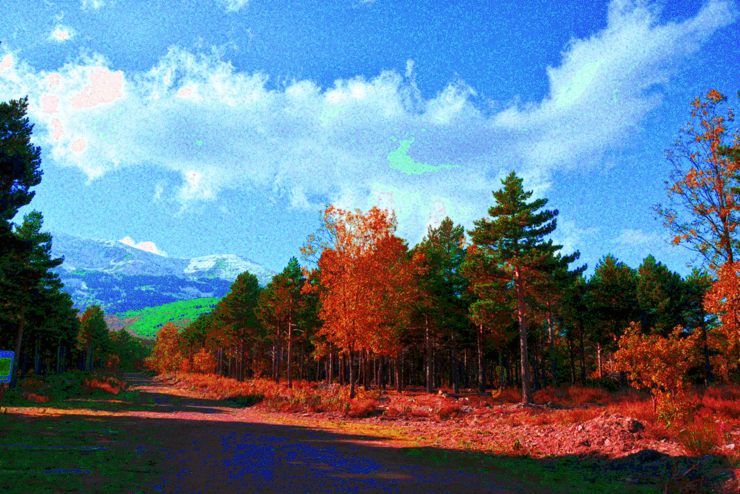 DSC_0081 (pointillistic).jpg