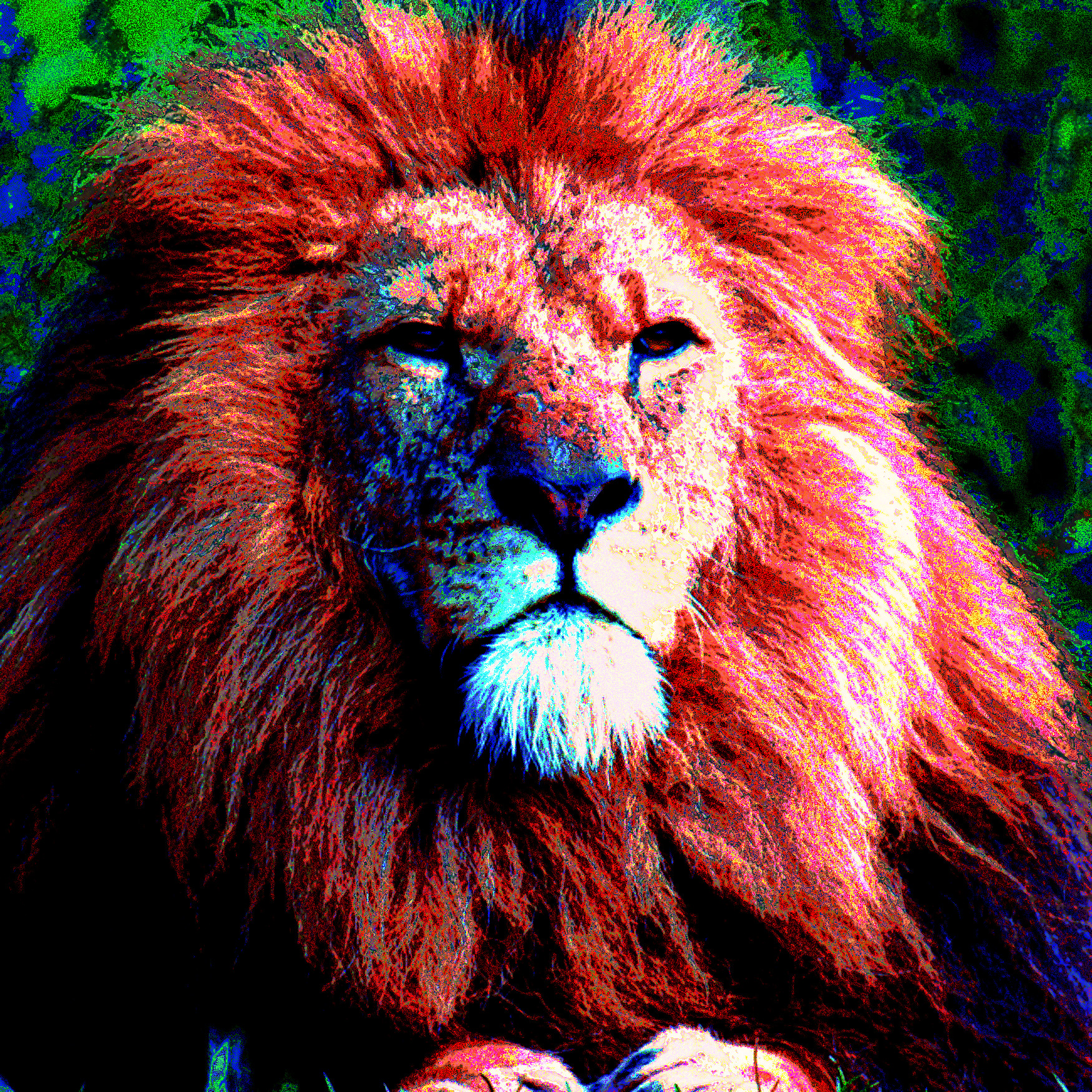 lion2 (pointillistic)-b.jpg