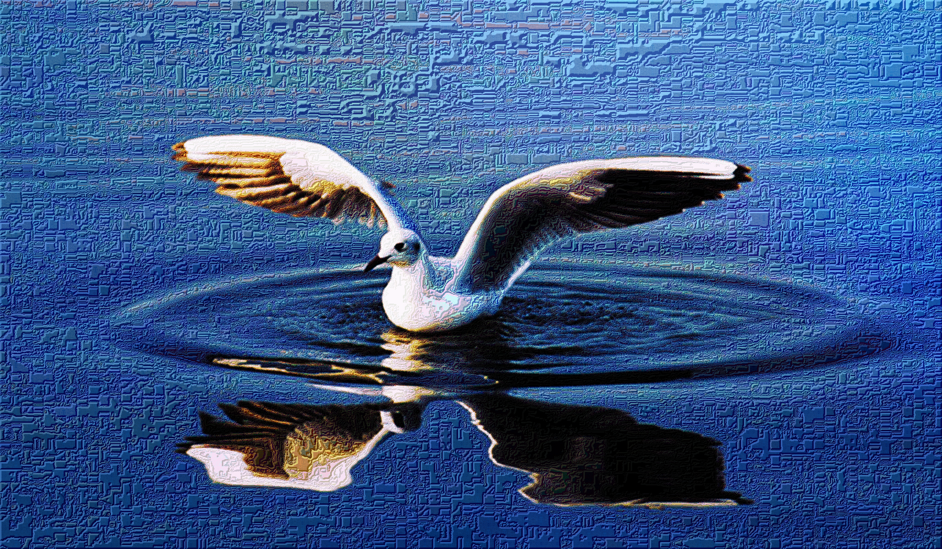 waterbird.png