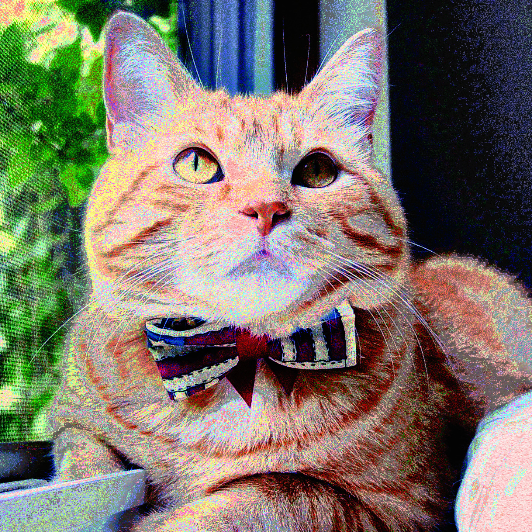 a_celebration_by_lucytherescuedcat-d8zk03y (pointillistic)-bnewalt2.jpg