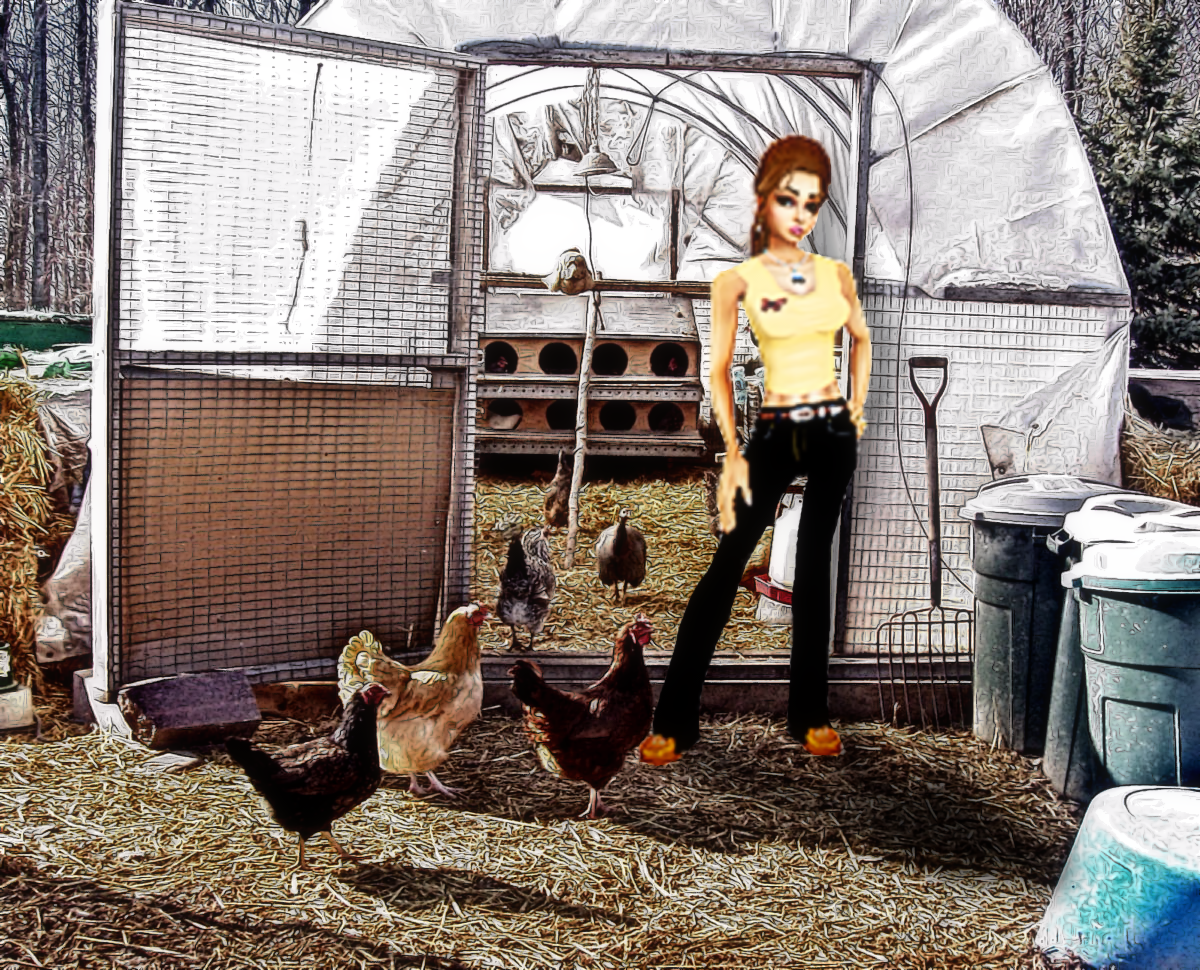 chickenhouse-avatar.png