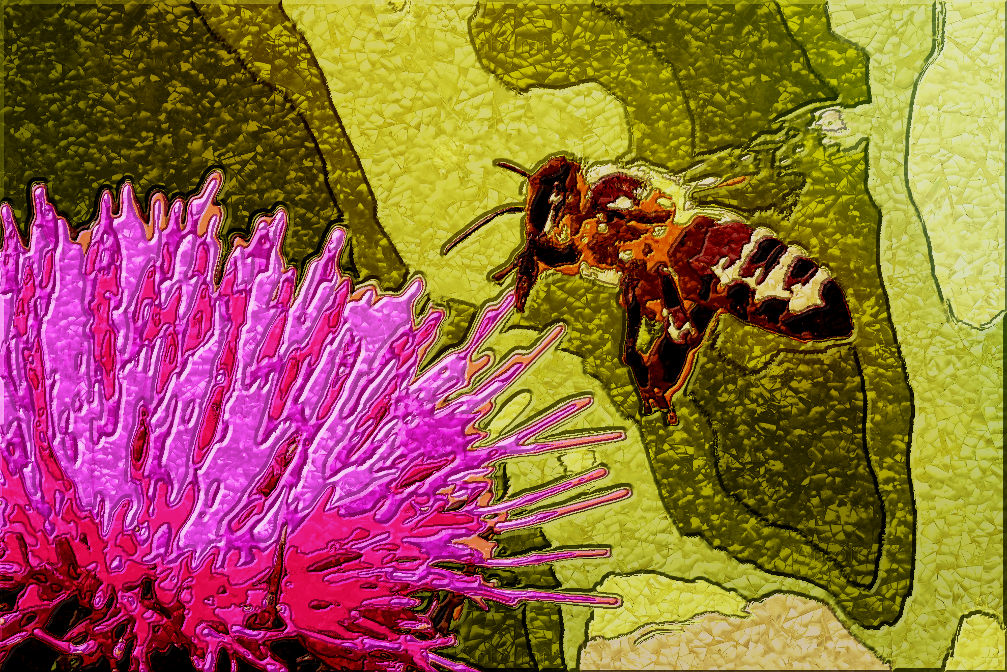 Honeybee.png