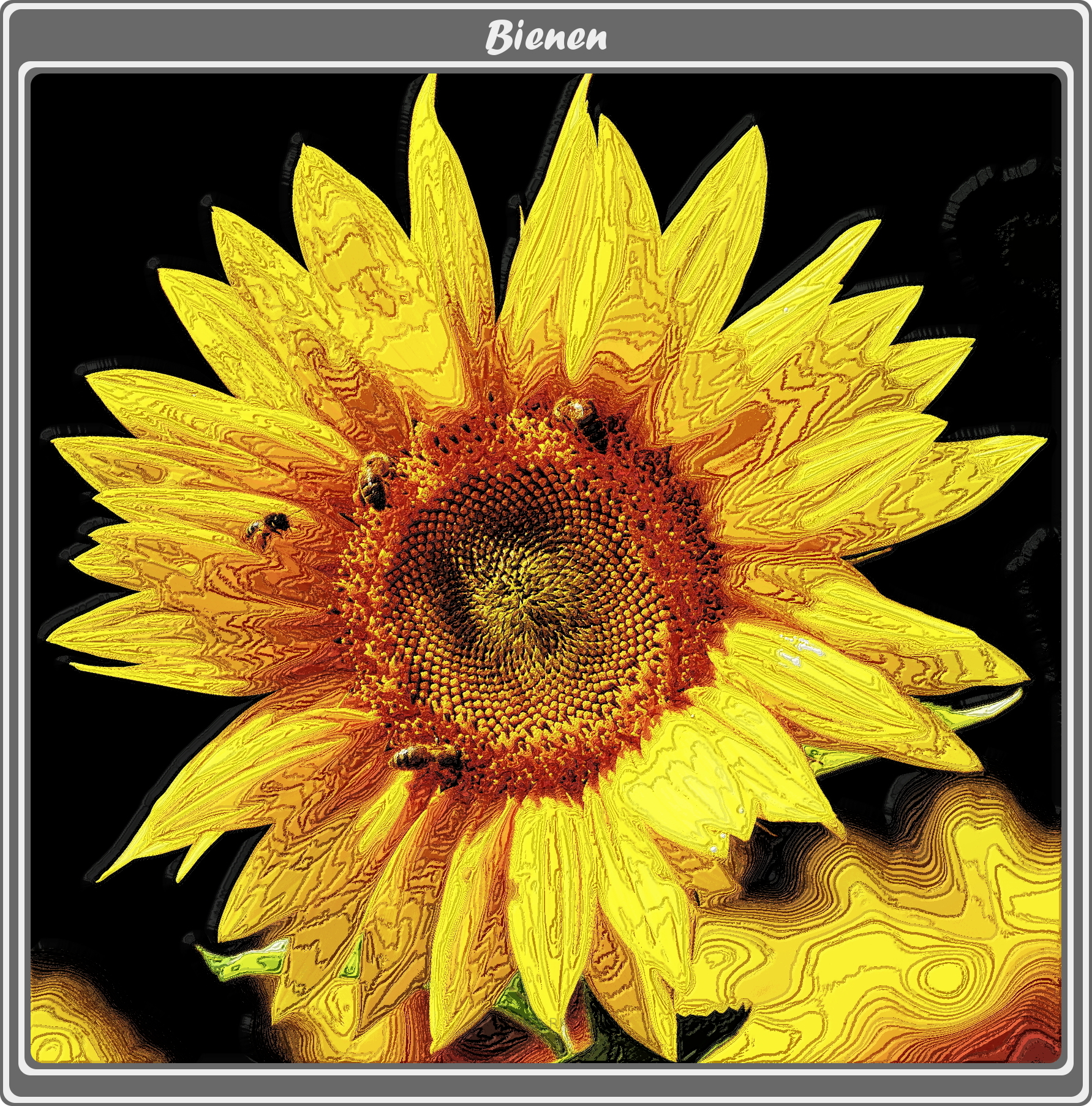 biene-04.jpg