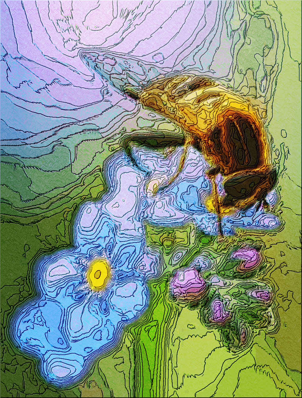 bee_04.jpg