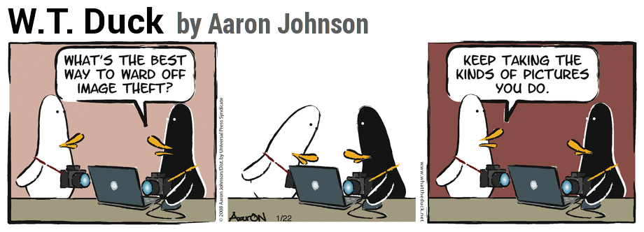 WTDuck-ImageTheft.png