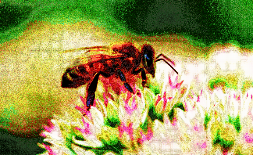 Another Bee.png