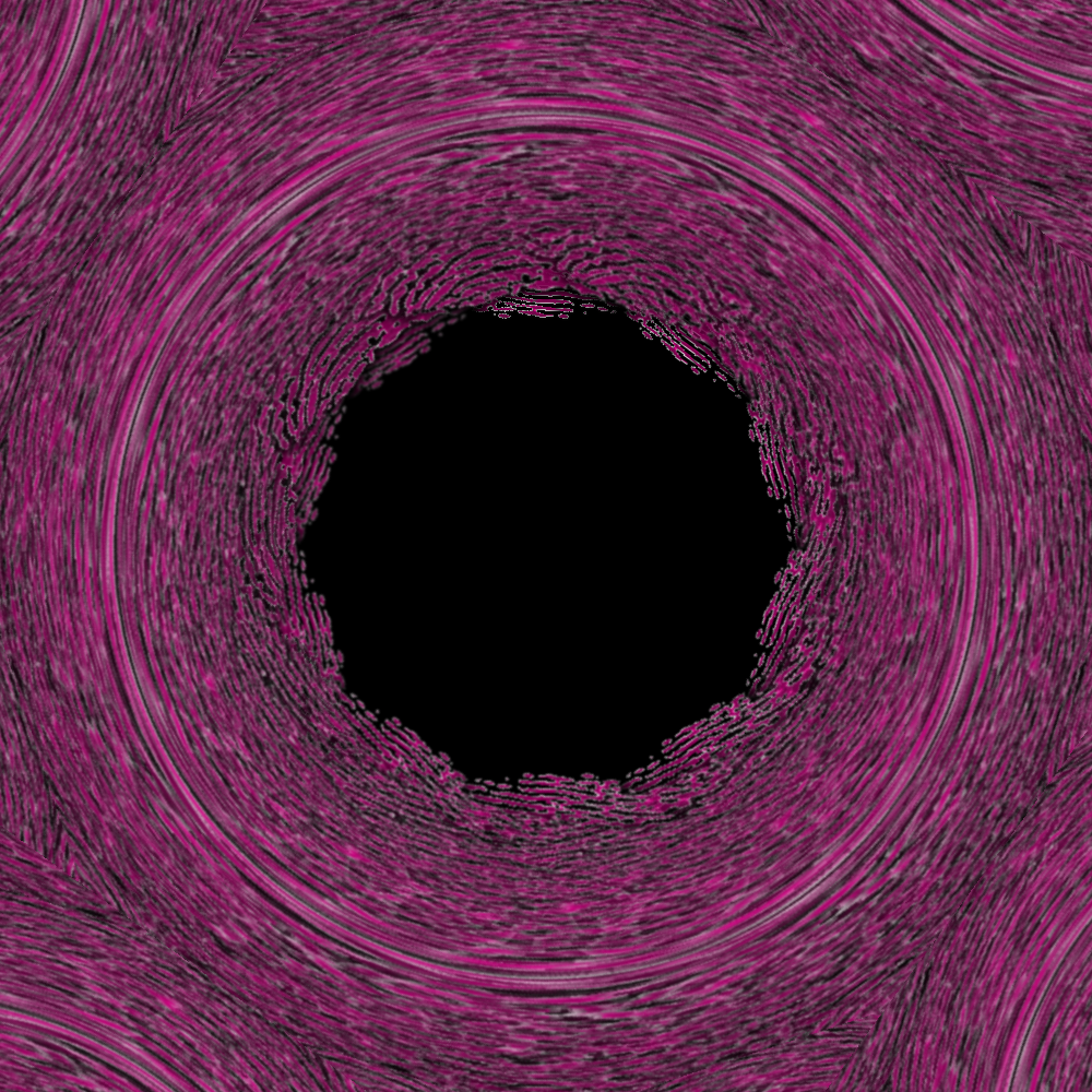 Fingerprint Kaleidoscope.png