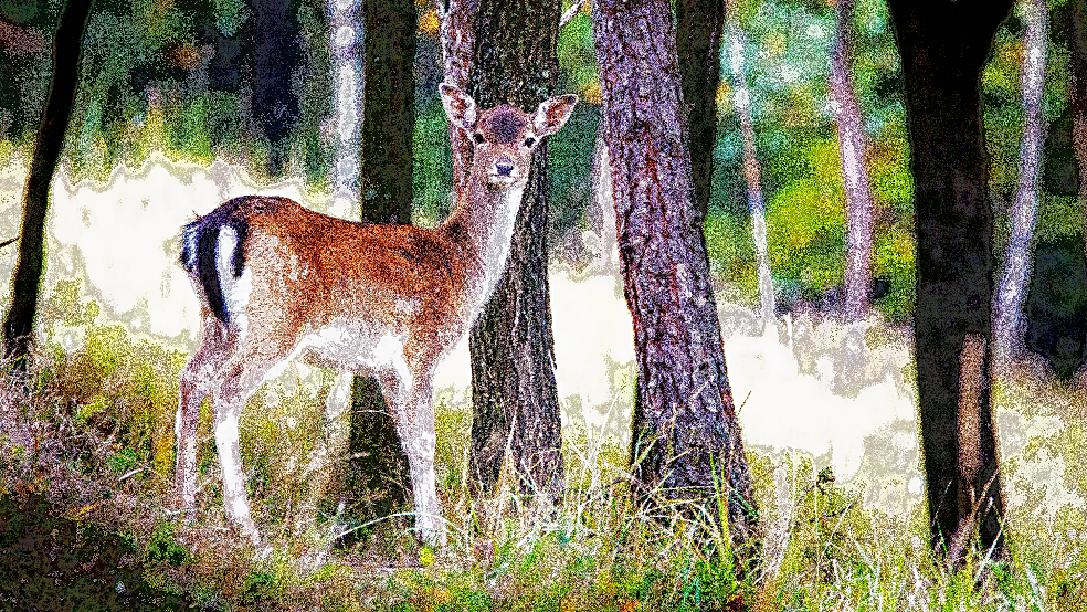 Deer Pontillism.jpg