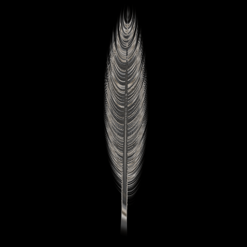 feather-pattern_RD.png
