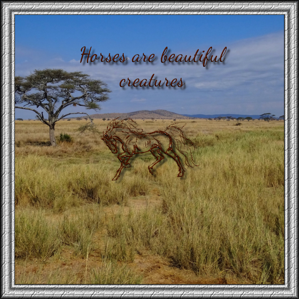 Silhuette Horses.jpg