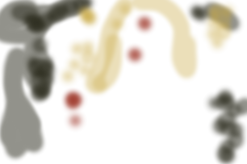 color-paints.png