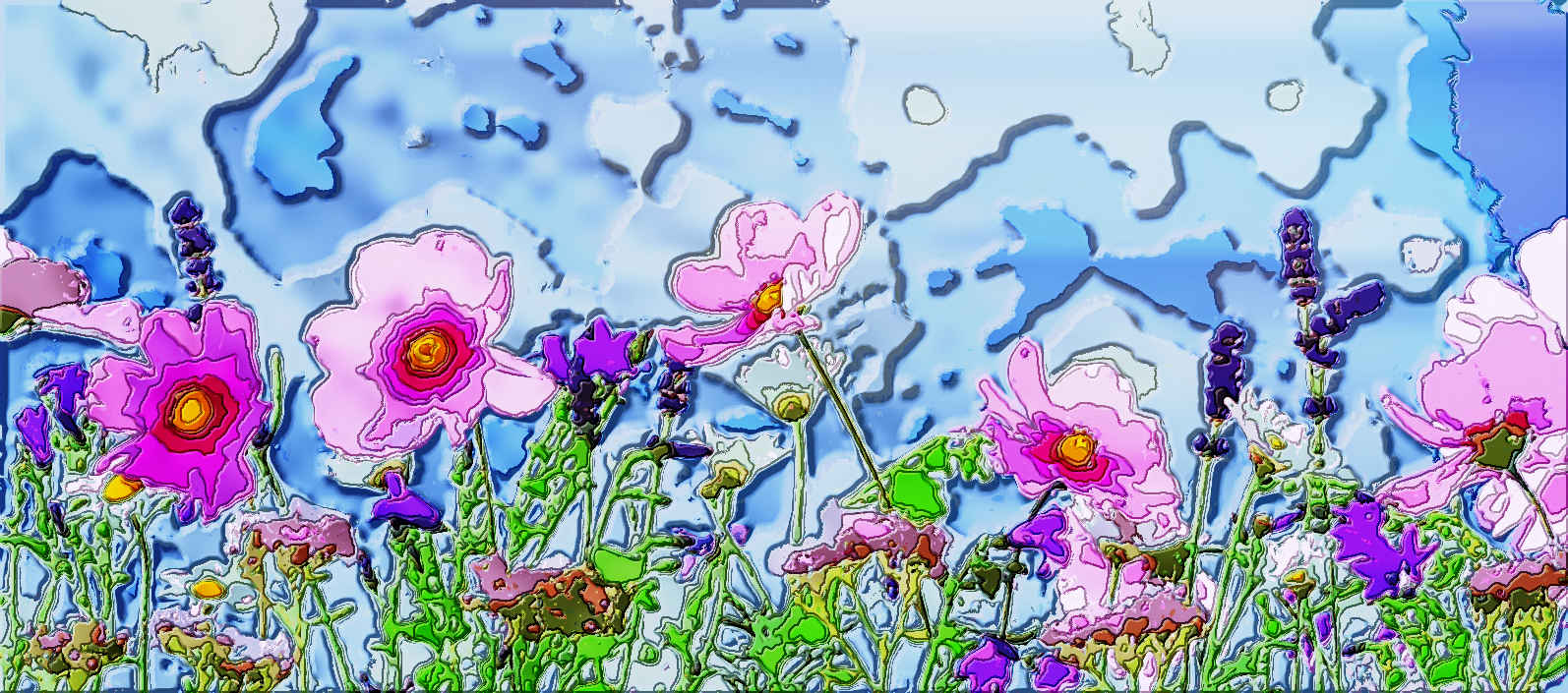 pexels_wild-flowers-flowers-plant-macro-40797-medium (colours=30)m20m_huge.jpg