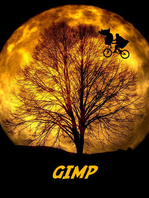 moon tree.png