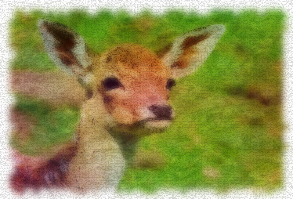 roe-deer-1586373_960_720 (aquarel).jpg