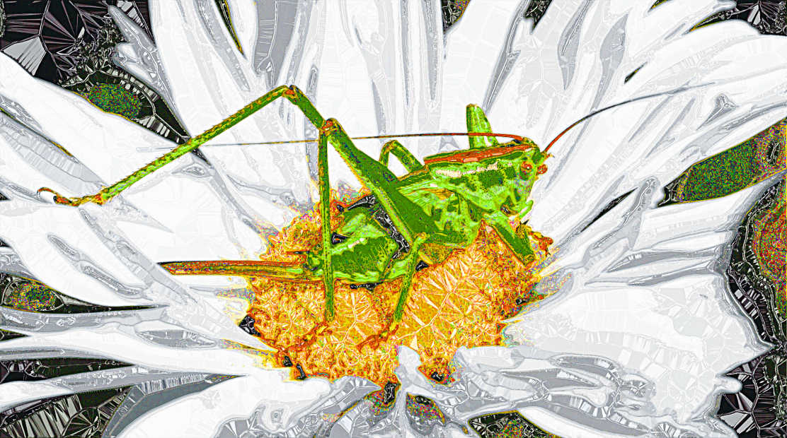 GrasshopperCrystallizeN.JPG