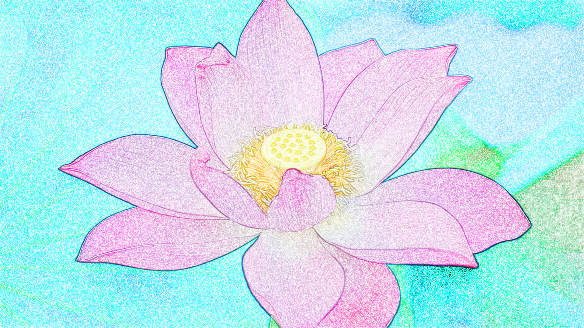 fiore_di_loto, as a Sketch (Colour).jpg