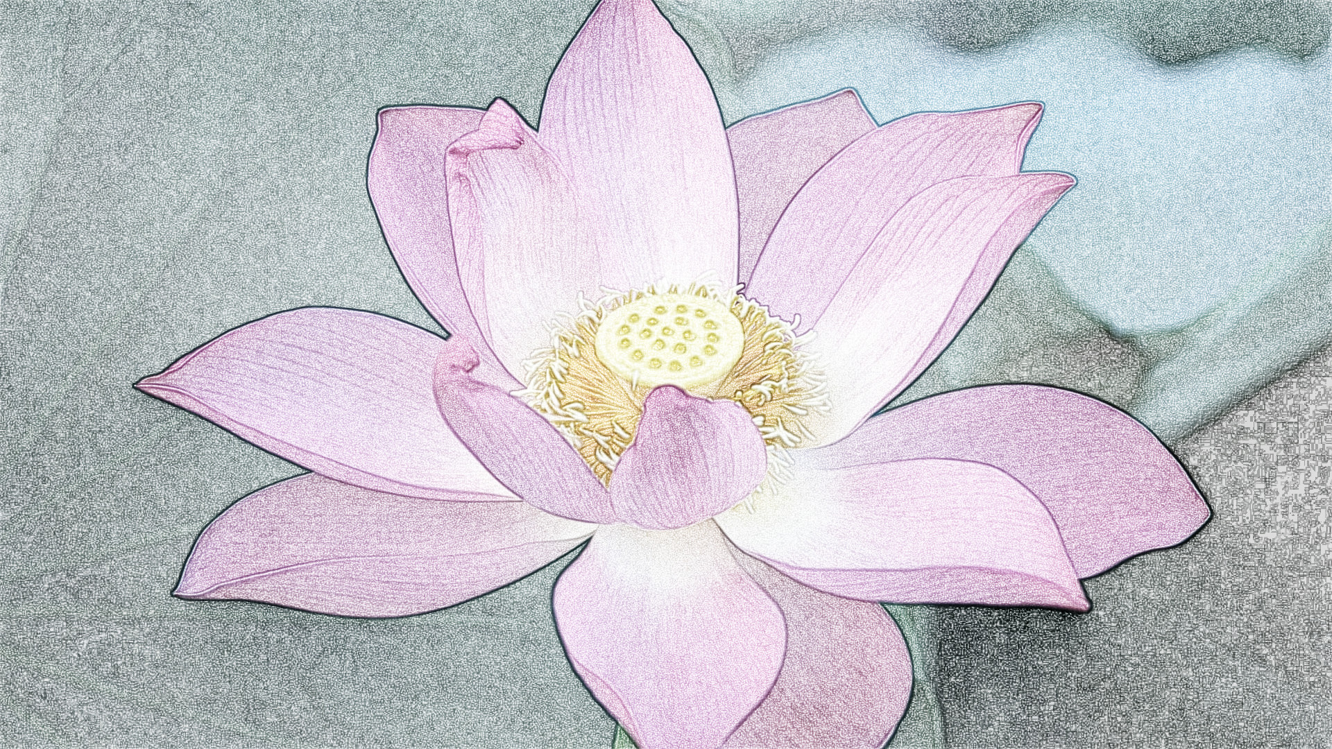 fiore_di_loto, as a Sketch (Overlay).jpg