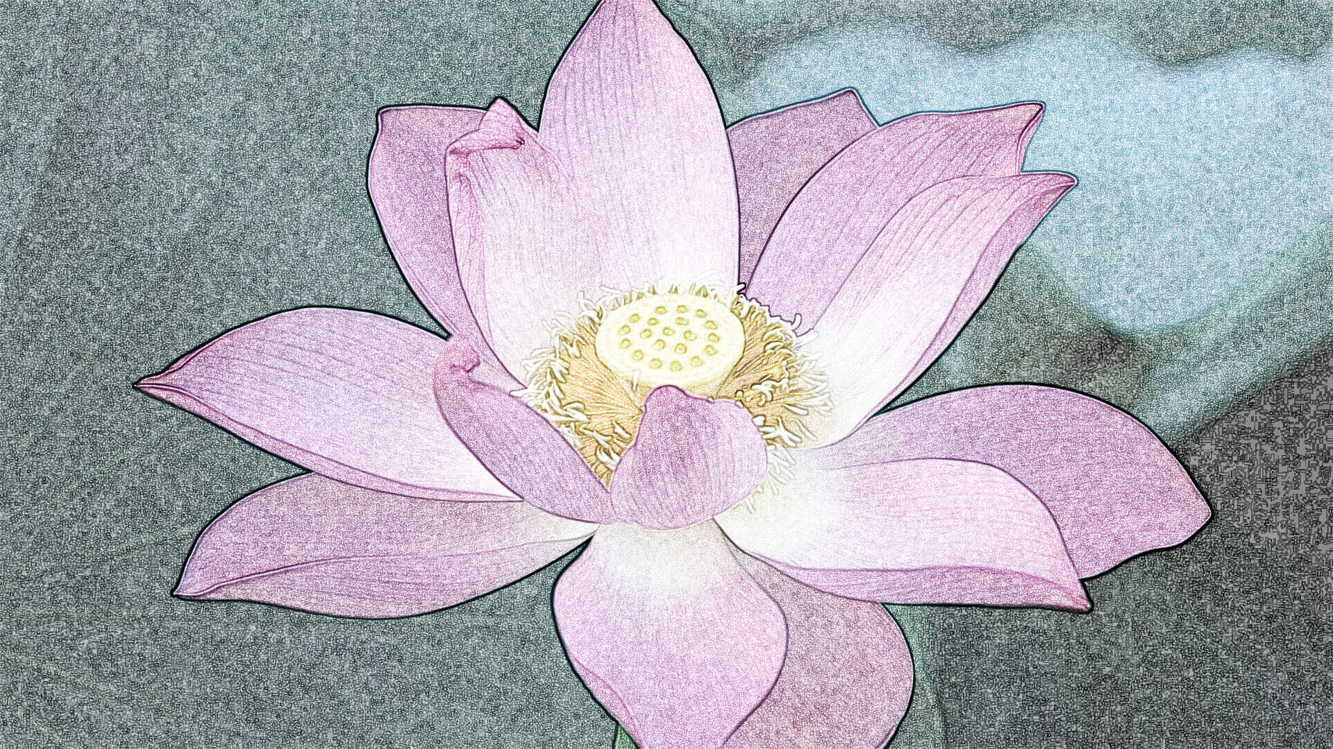 fiore_di_loto, as a Sketch (Overlay)noGMIC.jpg