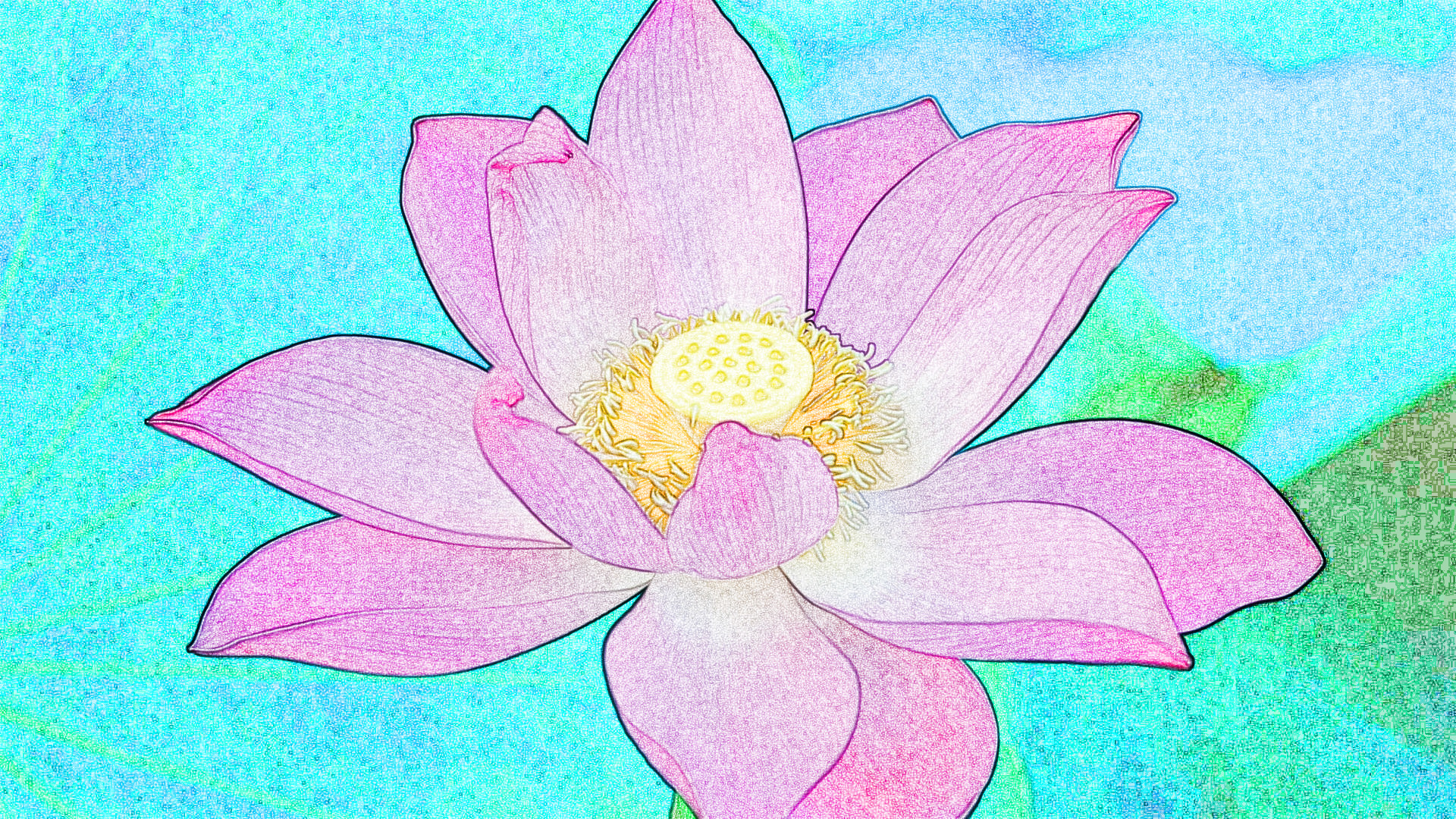 fiore_di_loto, as a Sketch (Colour)noGMIC.jpg