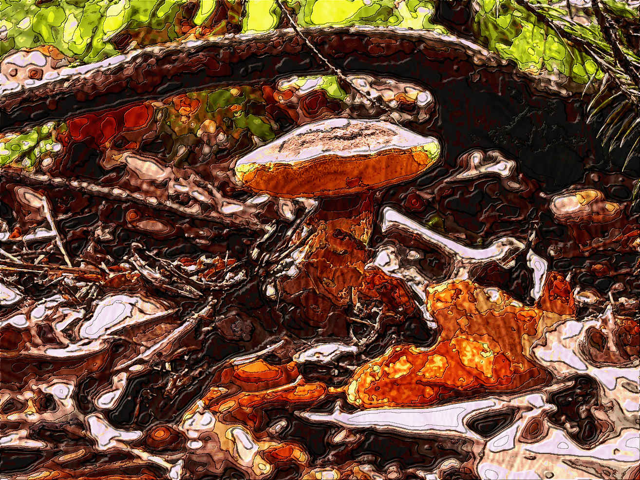 cervenocechratka-113889_1280,v1B,(colours=36)1,1,P,1.0,32,30,20,10,8,5,1,2,135,16,huge5.jpg