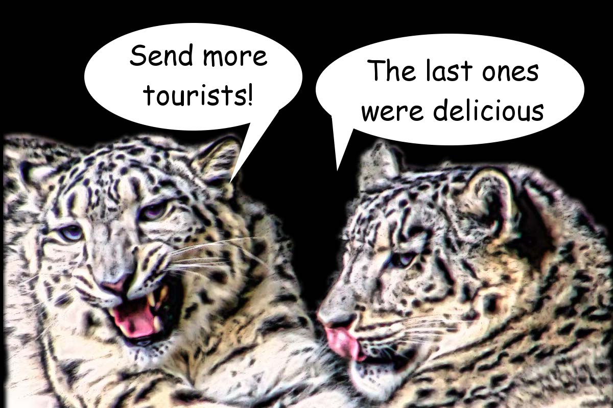 leopards.jpg