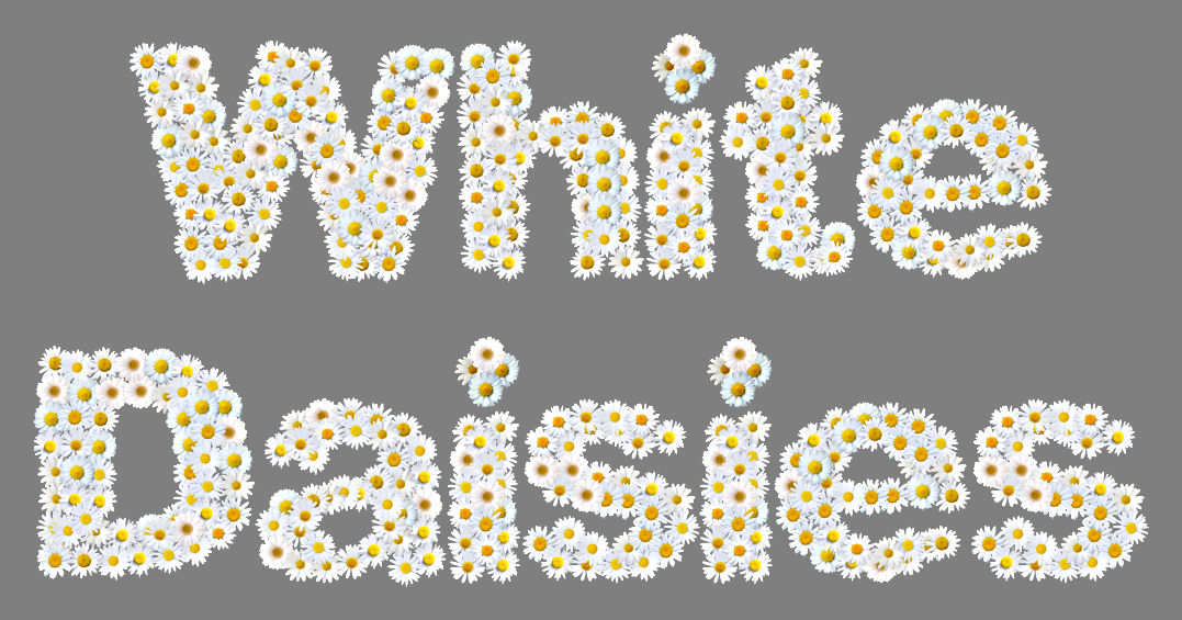 WhiteDaisies.jpg