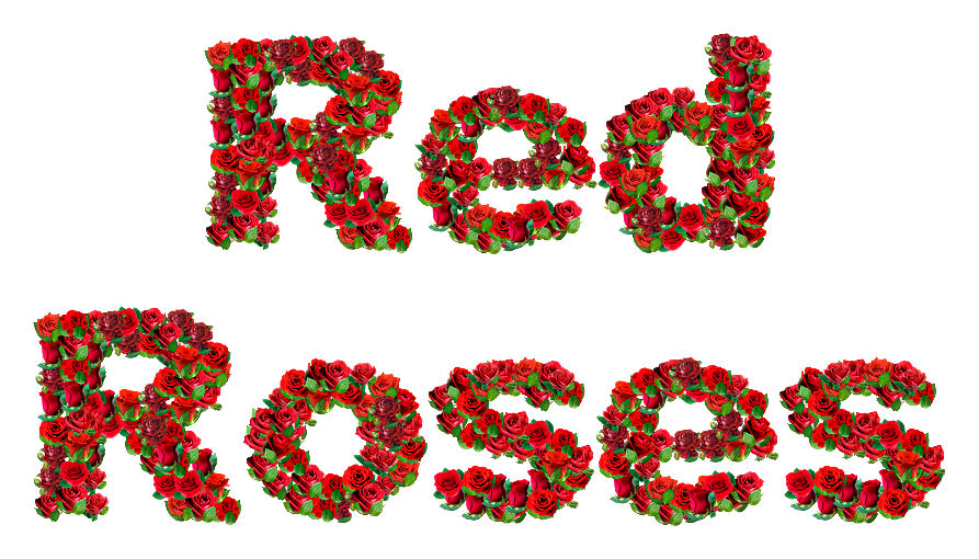 RedRoses.jpg