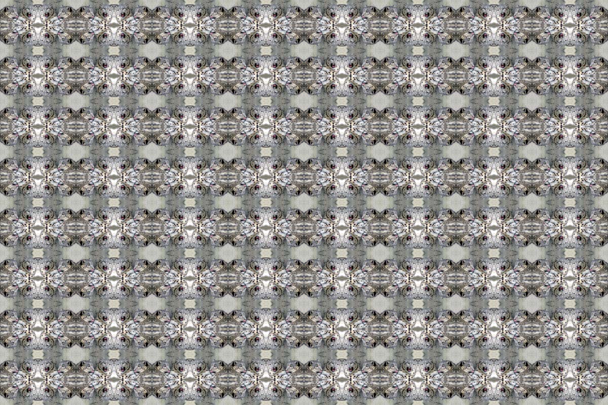 snowlpattern.jpg